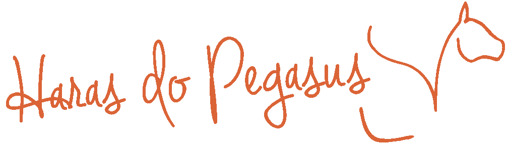 Icon of haras do pegasus
