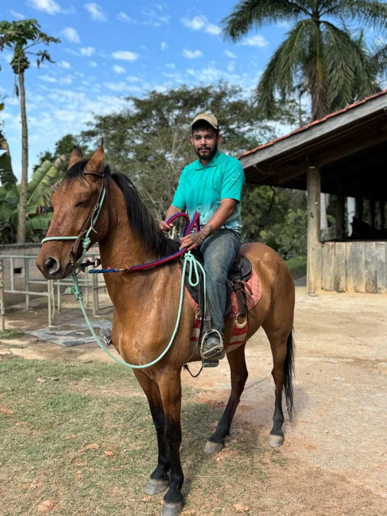 Guida William de Haras do pegasus